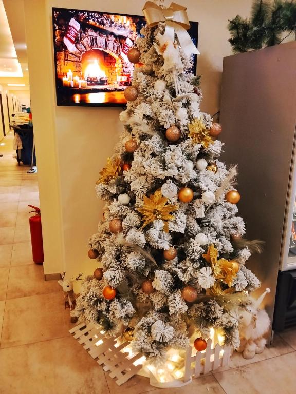 Zlatibor Spa&Wellness "BAE" - 2