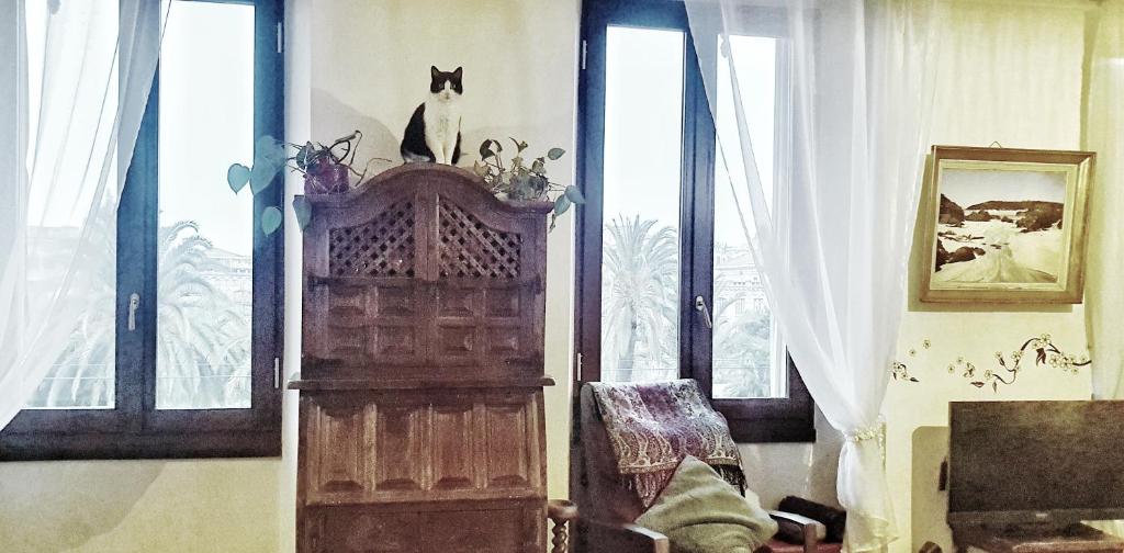 Shared Appartment with Kitten - 4