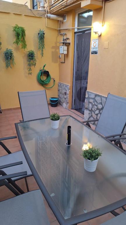 BEACH&GARDEN - 5