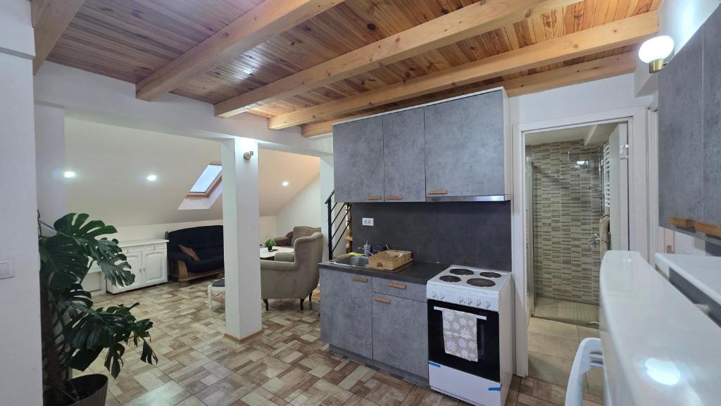 Duplex stan u Beogradu - 3