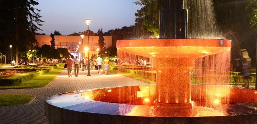 Ljubičica deluxe 2, sa dvorištem i parkingom - 3