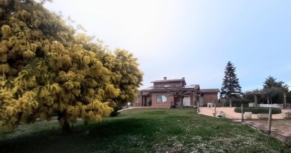 Can Carbó - 1