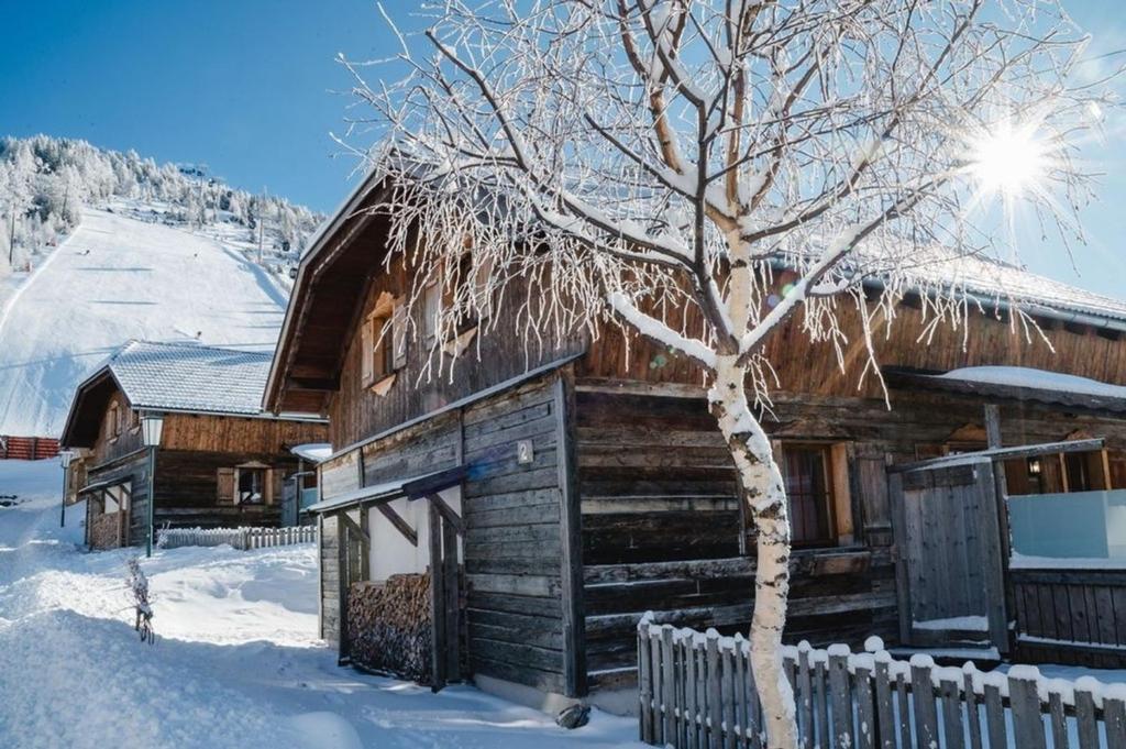 Almchalet am Katschberg - 3