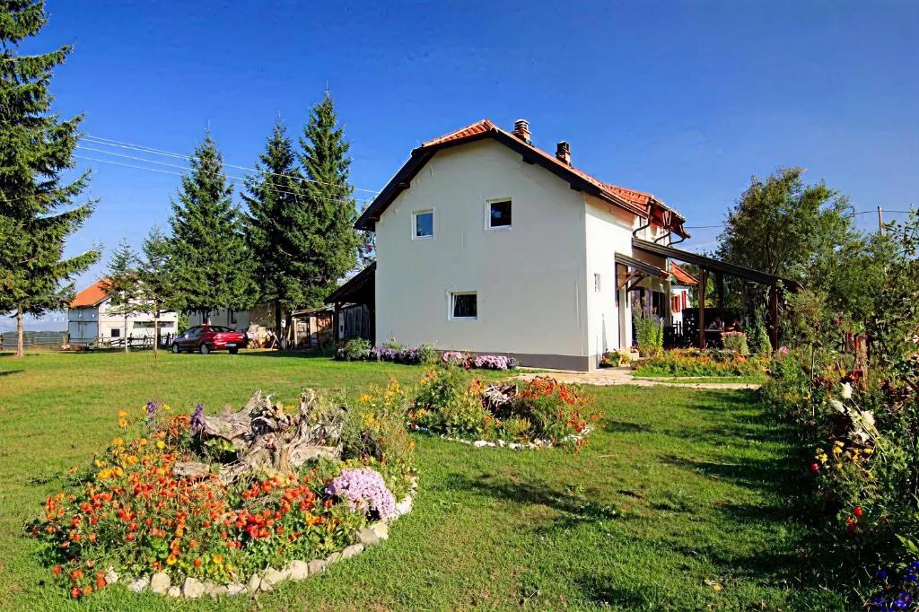 Apartmani Petrovic Tara, Kaludjerske bare - 3