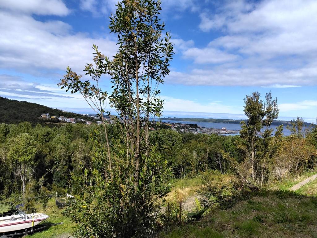 Almendras - 4