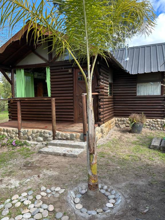 CABAÑAS RINCON DEL ESTE - 4