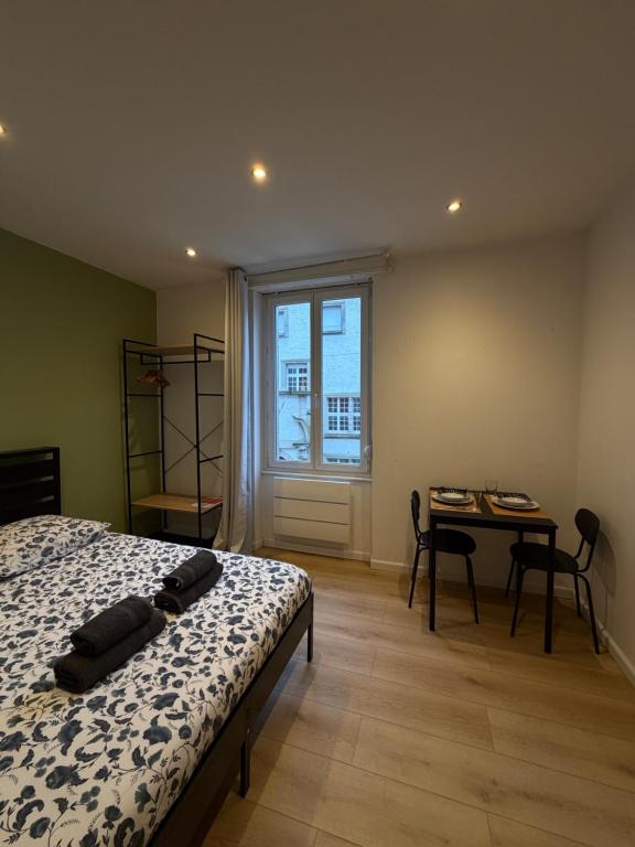 Le 9 - Joli studio neuf, tout équipé Mulhouse centre - Stationnement gratuit - 2