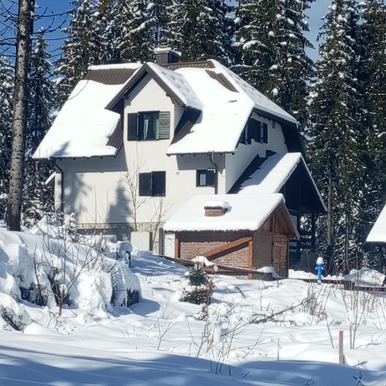 Villa Pahuljica - 1