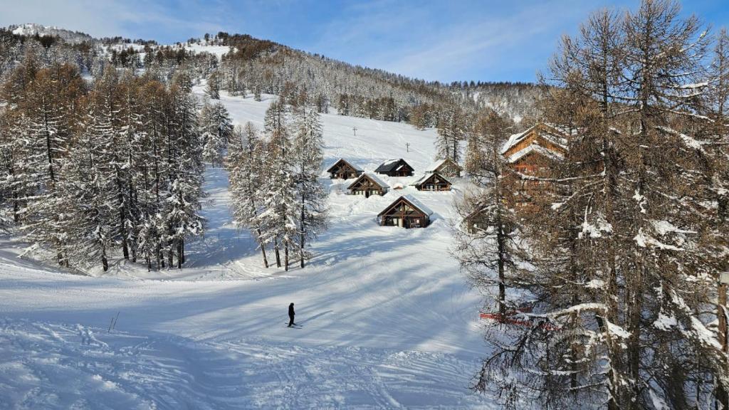 Duplex cosy jusqu'à 6 personnes- chalet des Pléiades - départ skis aux pieds en bordure de piste sans portage - au milieu des fleurs en été - l'autre duplex du chalet est également à nous - 4