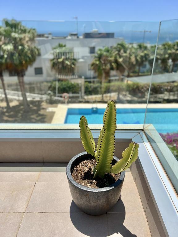 3 - Appartement proche du port de Cabopino a Marbella - 4