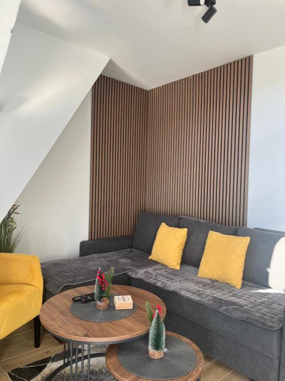 Apartman KaTija Divčibare preko puta hotel Crni Vrh - 4