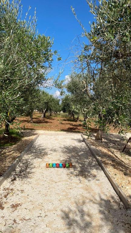 Trullo al borgo - 3