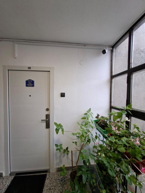 Studio Apartment-Horizont 47 - 4