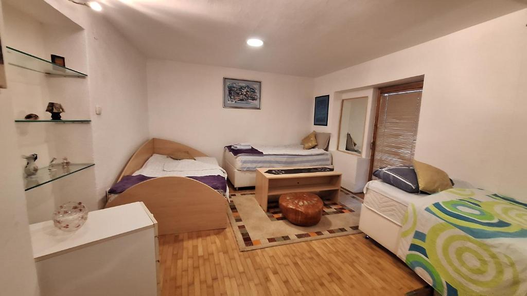Ribica Apartman - 1