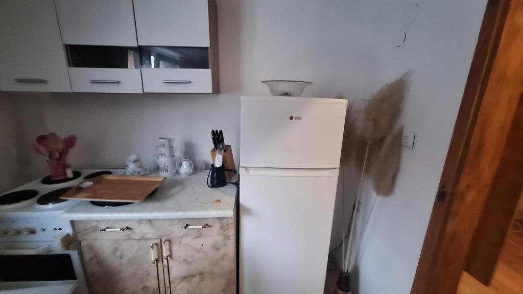Ribica Apartman - 4