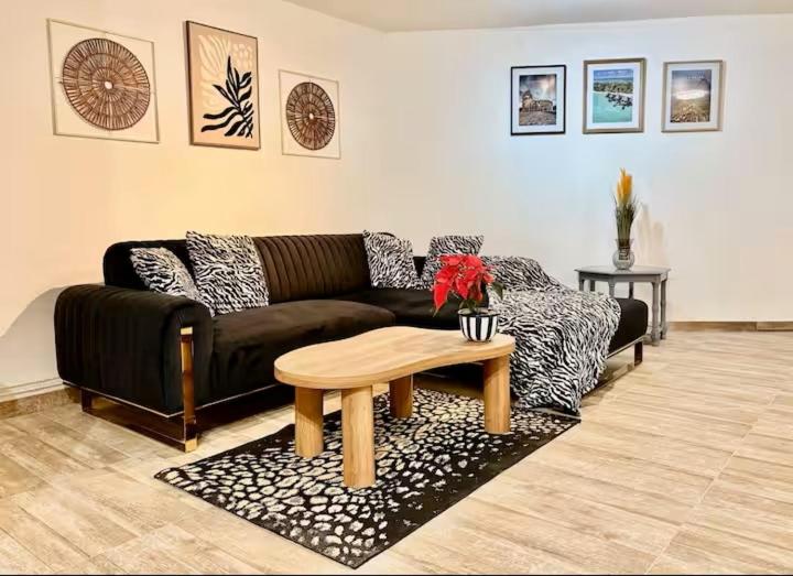 Spacieux appartement 3 chambres à Strasbourg - 1