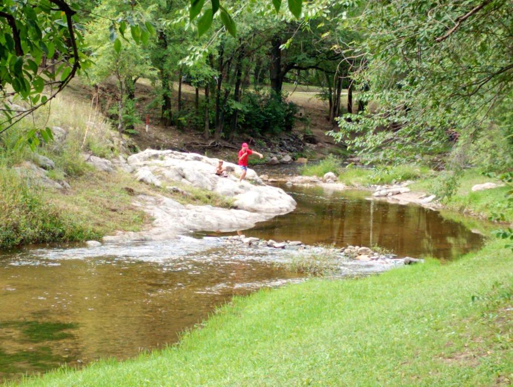Mi sueño en la naturaleza - 4
