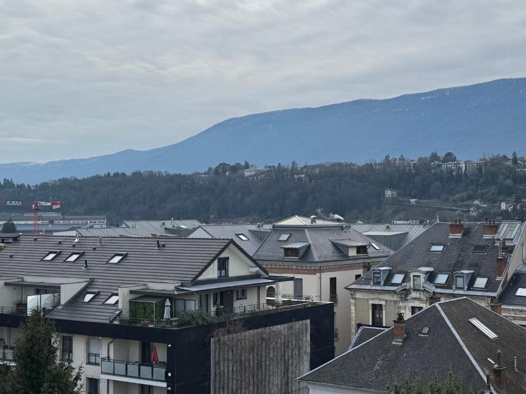 Studio calme centre-ville avec WIFI, animaux admis - FR-1-555-126 - 5
