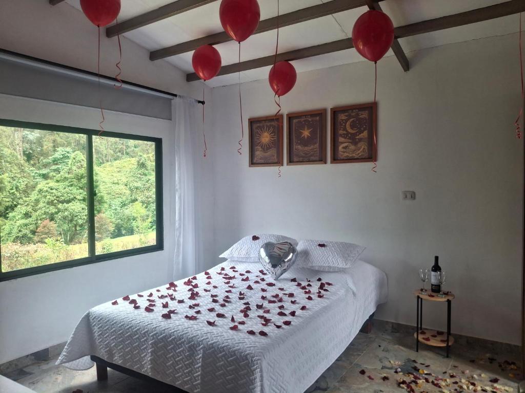 Cabaña Vía Pereira Armenia - 2