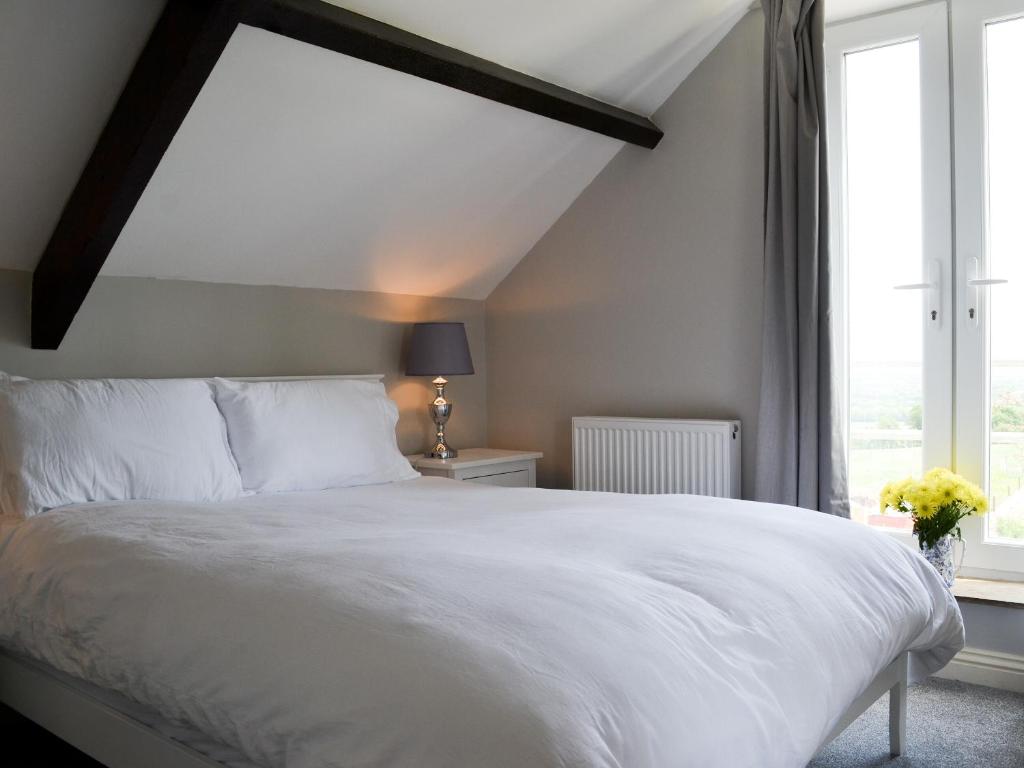 Ảnh 2