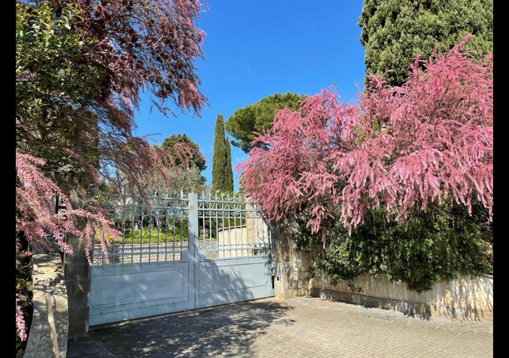 Le Balze Camere in Villa - 5