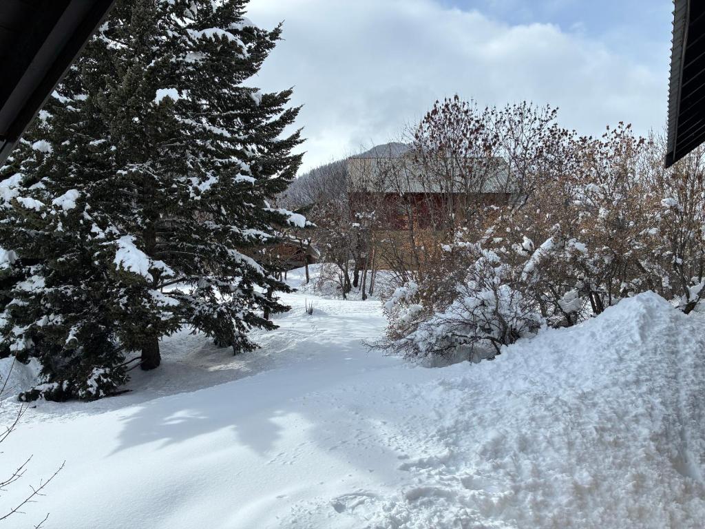 Parc des Ecrins 05290 Les MAISONNETTES APPARTEMENT 4 Pers - 5