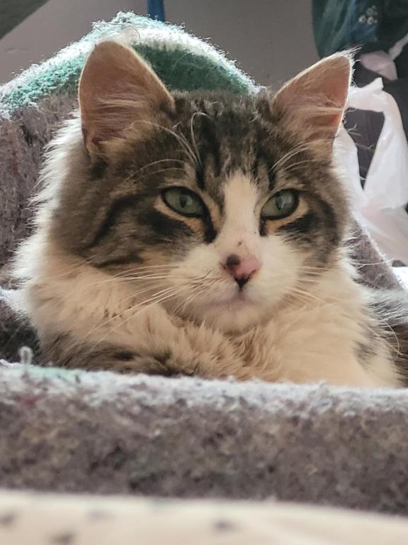 Maska House Pisac - 1