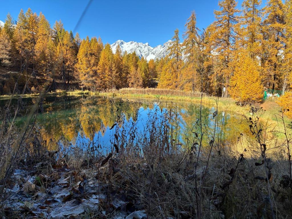 Parc des Ecrins 05290 Les MAISONNETTES APPARTEMENT 4 Pers - 3