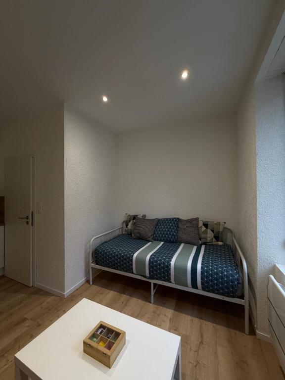 Le 13 - Petit F2 rénové Mulhouse centre - stationnement gratuit - 2