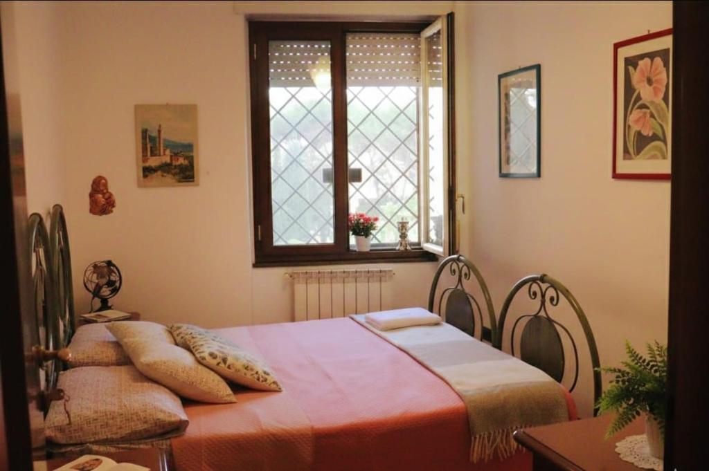 B&B Corapi - 4
