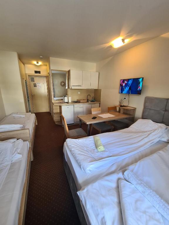 Centar slope 4 apartman - 3