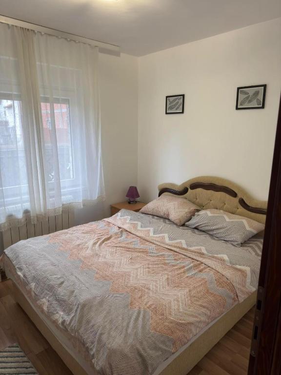 Elegance Apartman - 3