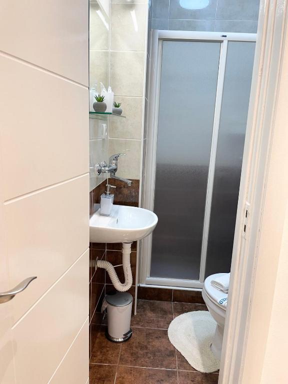 VD City Centre Apartment Belgrade - 2