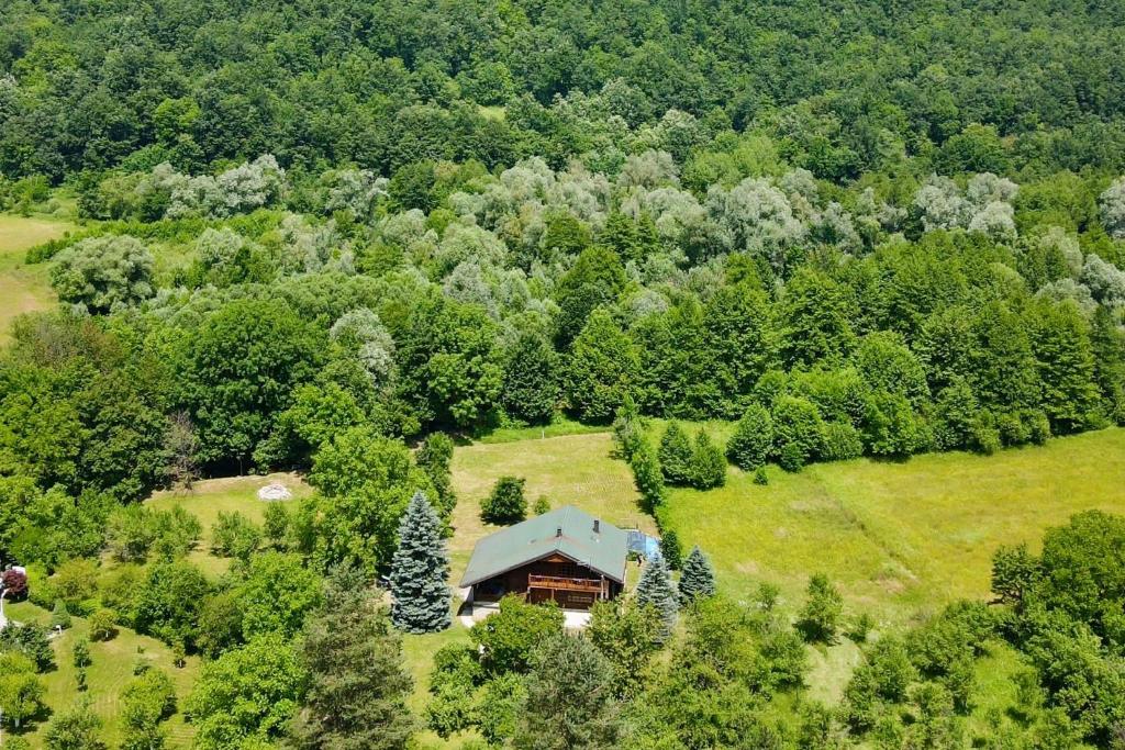 Pine River Dobrenica - 5
