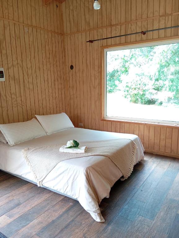 Cabaña Bosque Chucao - 3