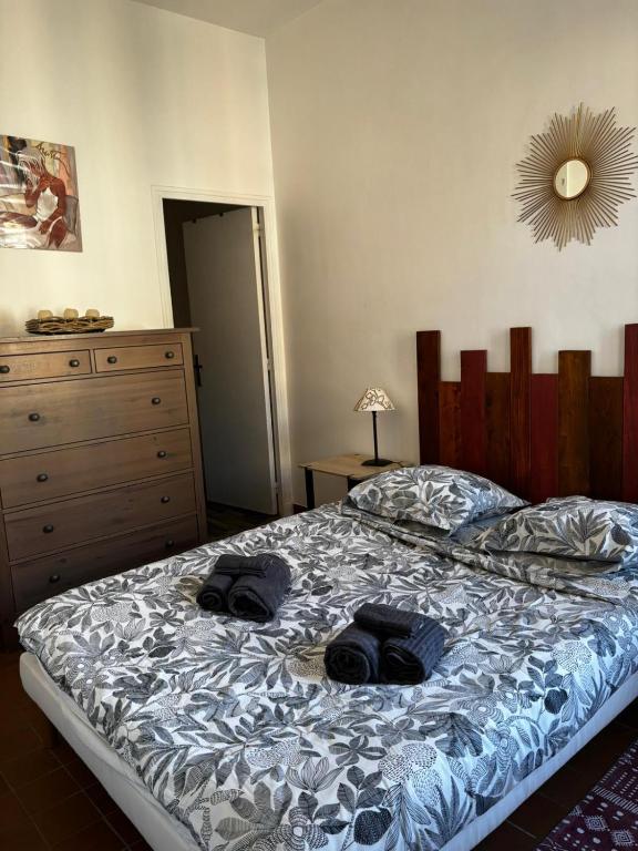 Cosy T2 - Interieur des remparts du Viel Avignon - 1