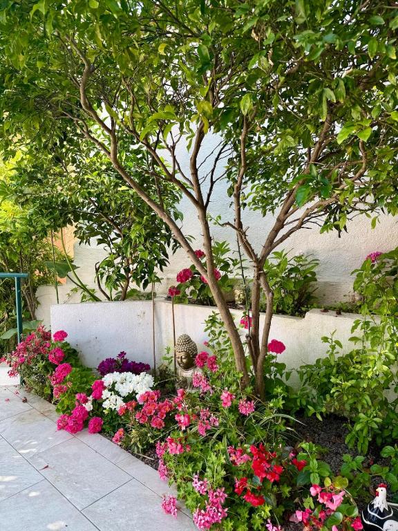 House in Cogolin Gulf of St Tropez - 2