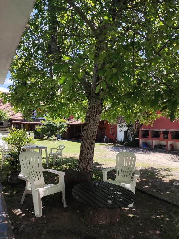 Las Grullas - 4