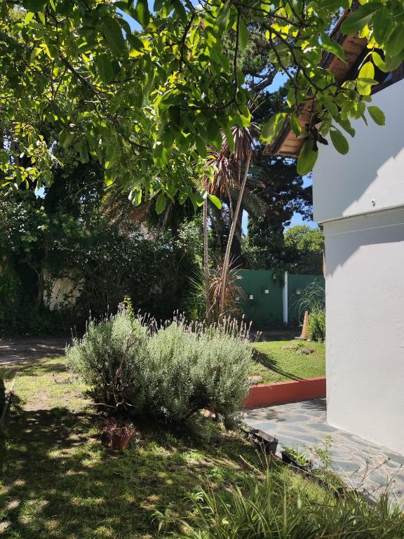 Las Grullas - 3