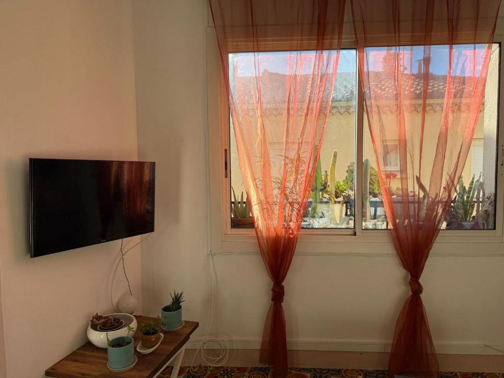 BANYULS-SUR-MER, appt T3 proche plages et commerces - FR-1-309-380 - 4