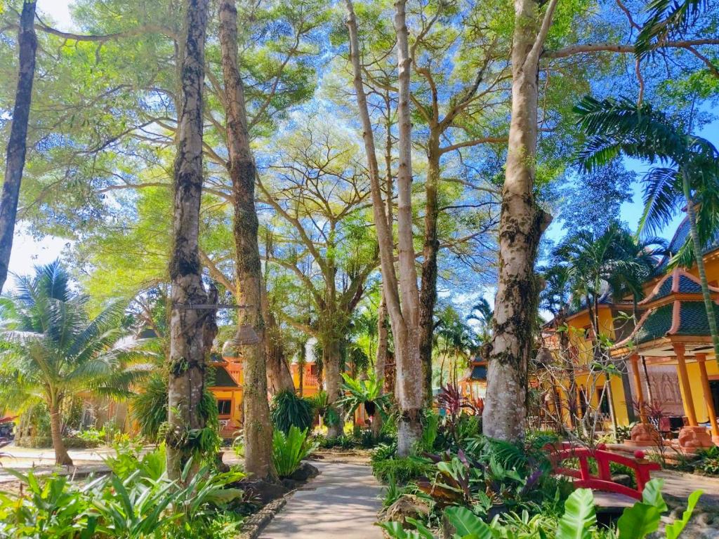 Garden