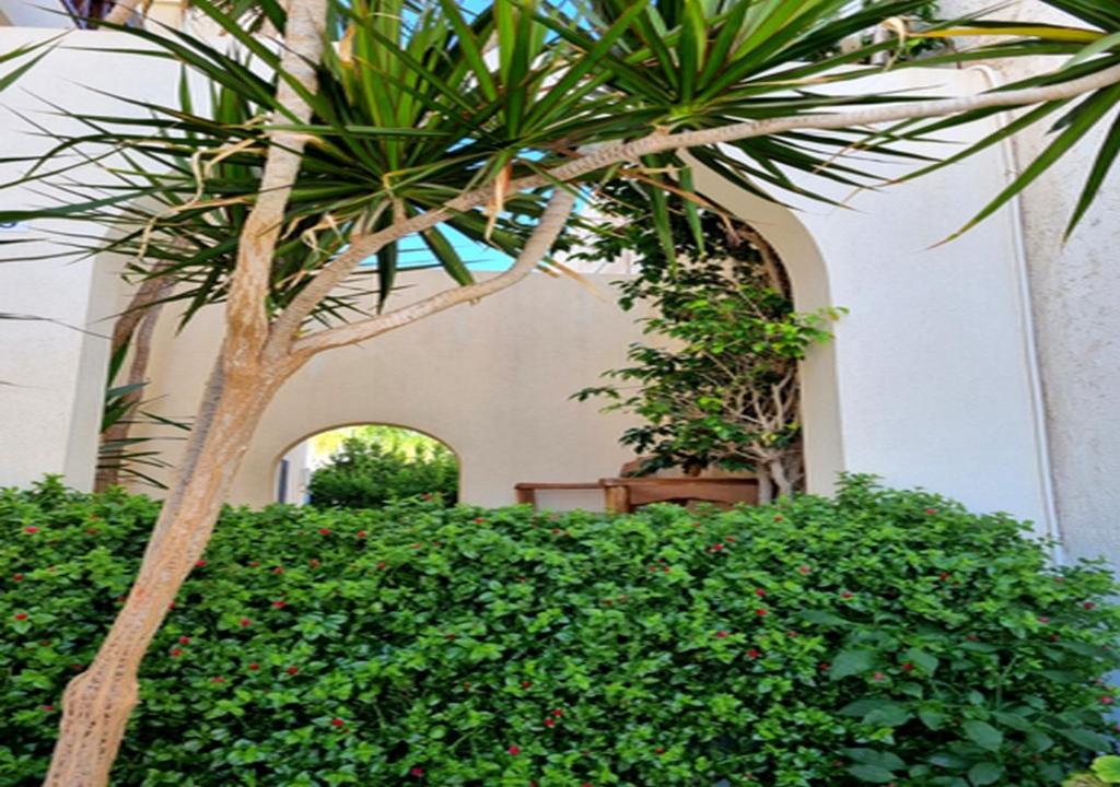 Smaragdine Beach Hotel — Hotel building in Stalida