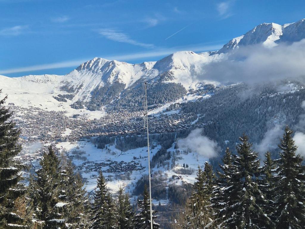 Winter Ski with stunning view - 4