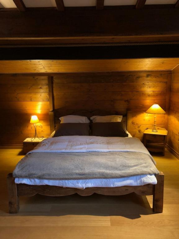Chalet vue montagne , proche des pistes - 5