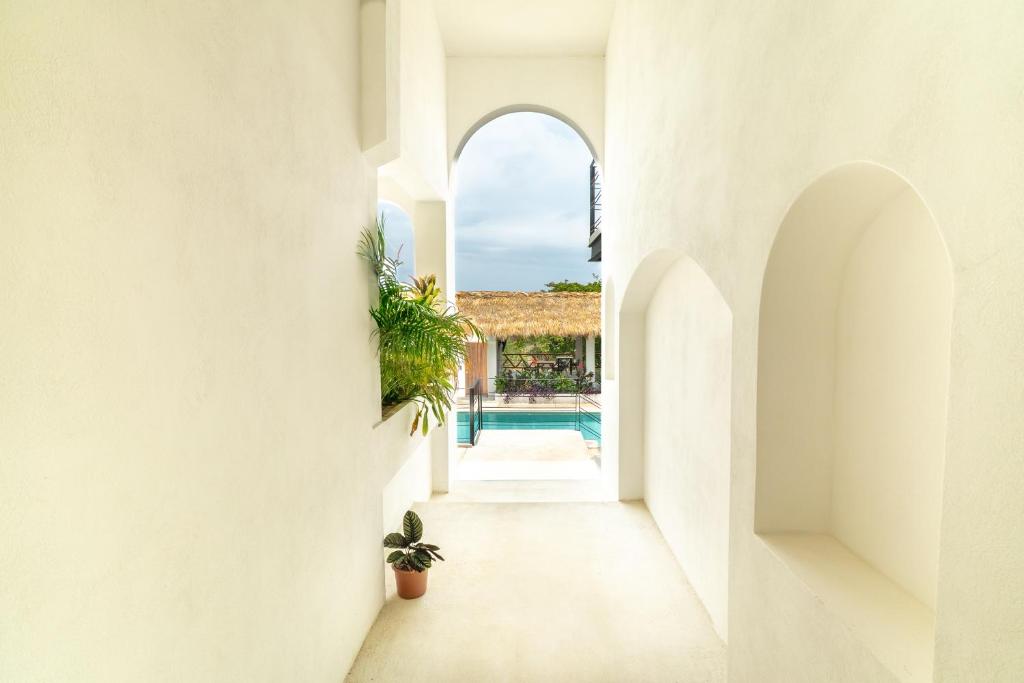 Casa Nami - 4