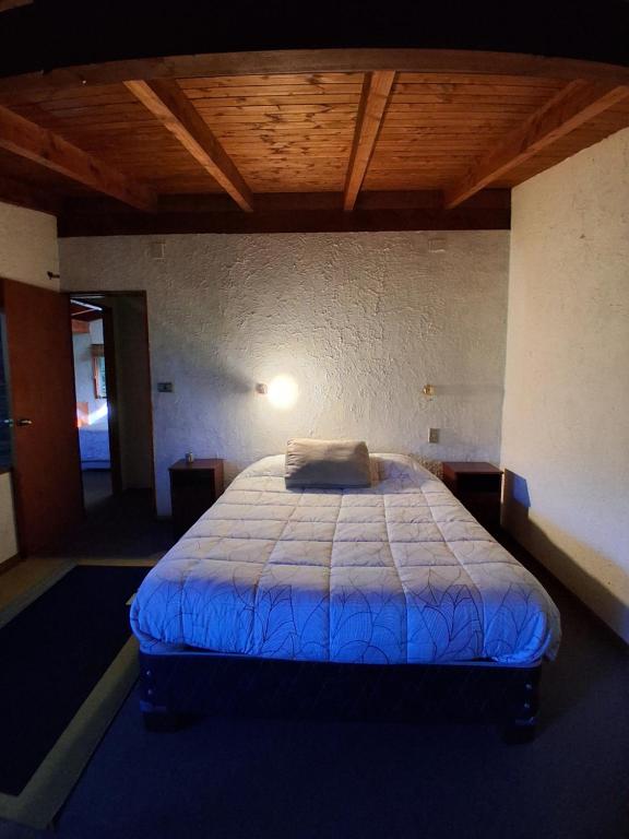 Casa Cedro - 1