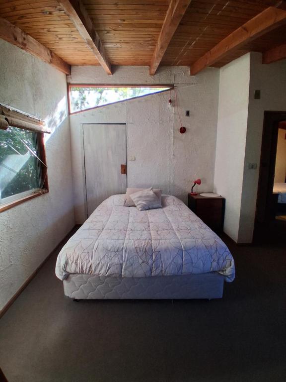 Casa Cedro - 3