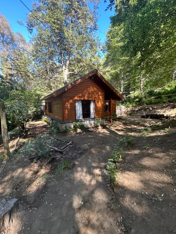 A centrally located cabin surrounded by nature - 2