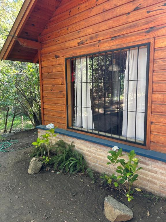A centrally located cabin surrounded by nature - 5