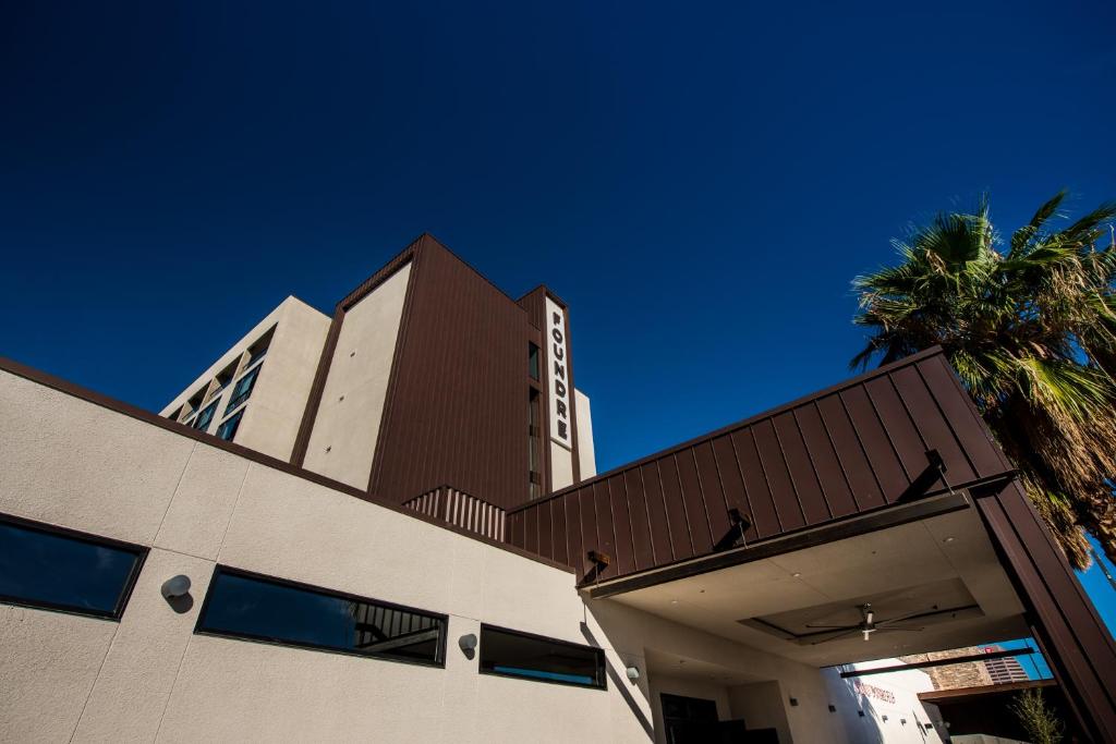 Found Re Phoenix Photo 10